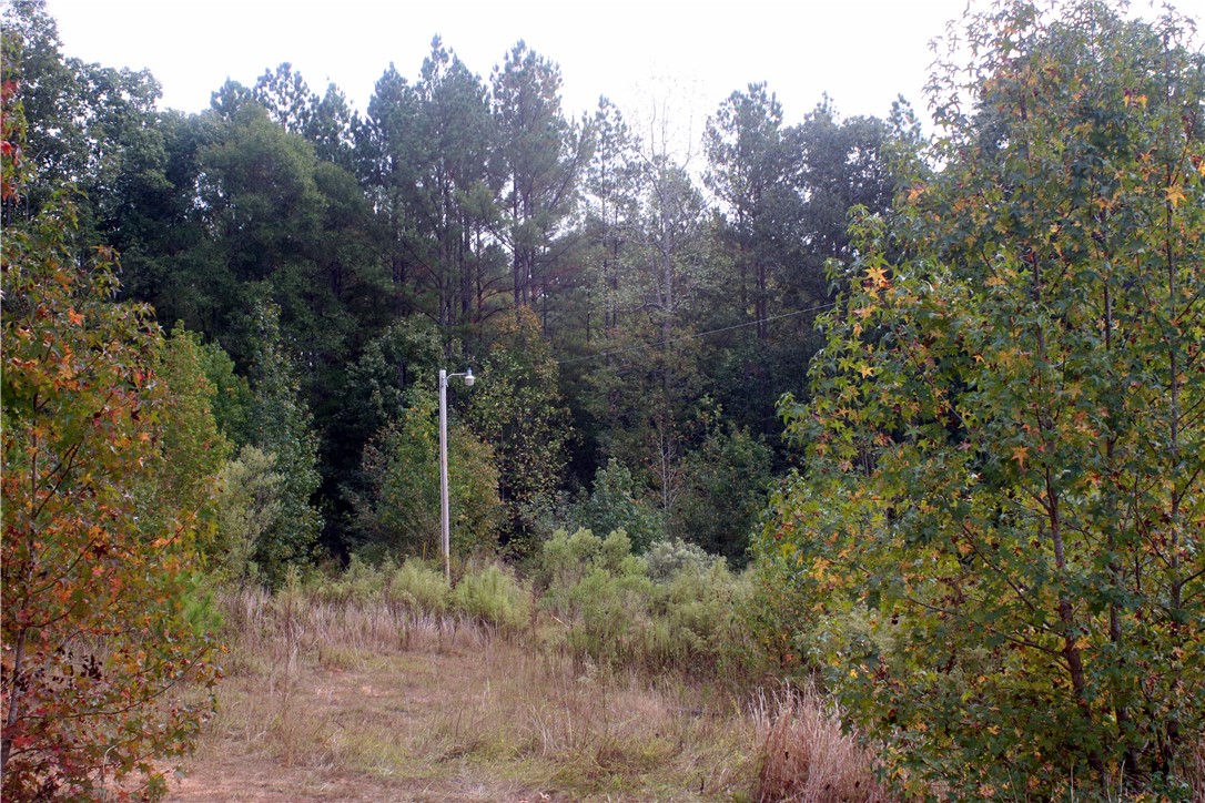 0 First Creek Road Anderson, SC 29621 - Photo 13 of 19