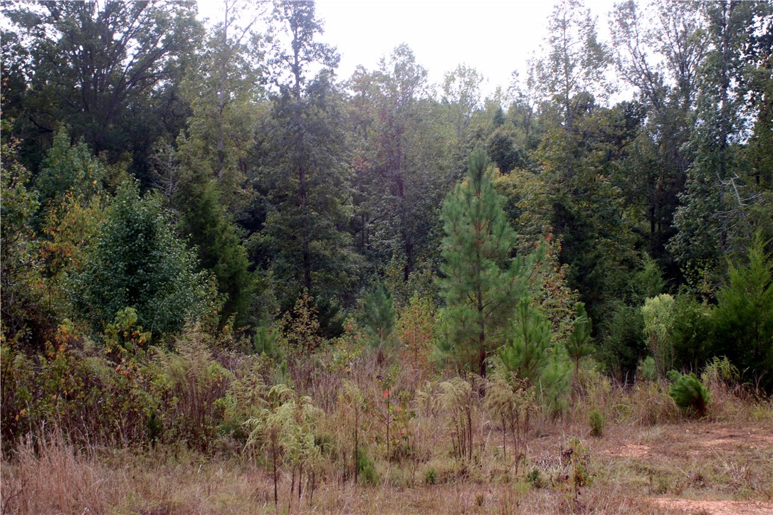 0 First Creek Road Anderson, SC 29621 - Photo 14 of 19