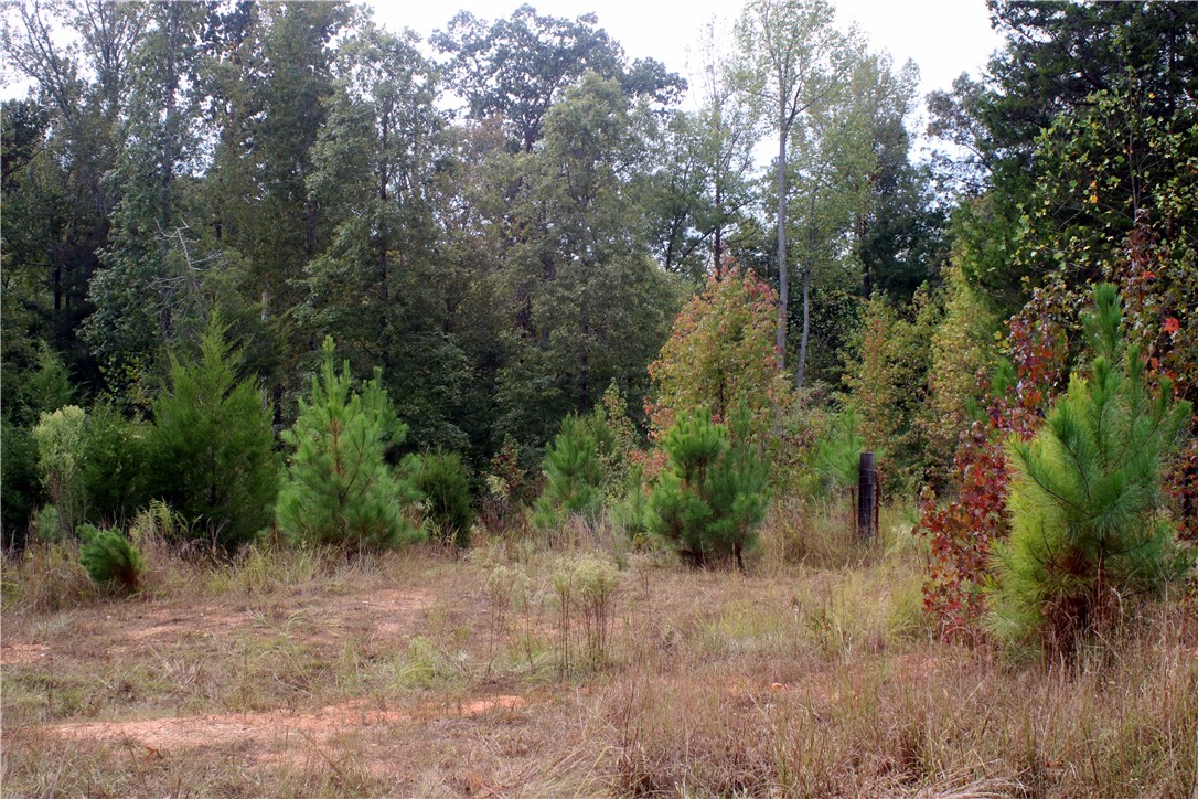 0 First Creek Road Anderson, SC 29621 - Photo 15 of 19