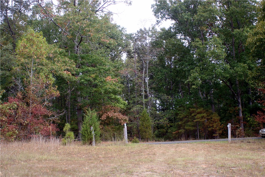 0 First Creek Road Anderson, SC 29621 - Photo 16 of 19