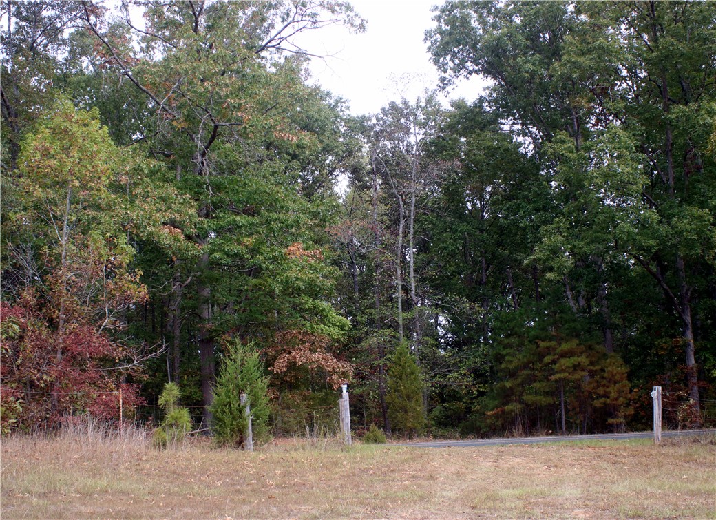 0 First Creek Road Anderson, SC 29621 - Photo 17 of 19