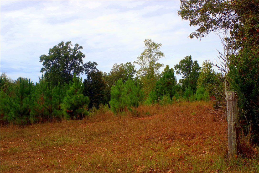 0 First Creek Road Anderson, SC 29621 - Photo 2 of 19