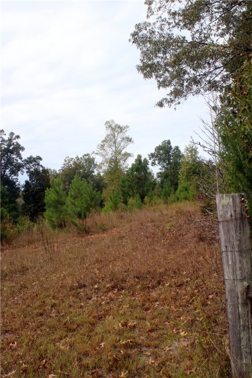 0 First Creek Road Anderson, SC 29621 - Photo 3 of 19