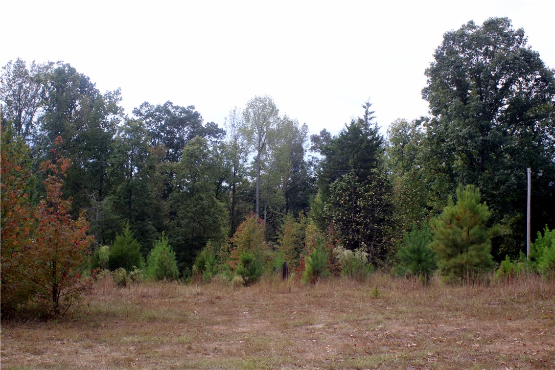 0 First Creek Road Anderson, SC 29621 - Photo 4 of 19