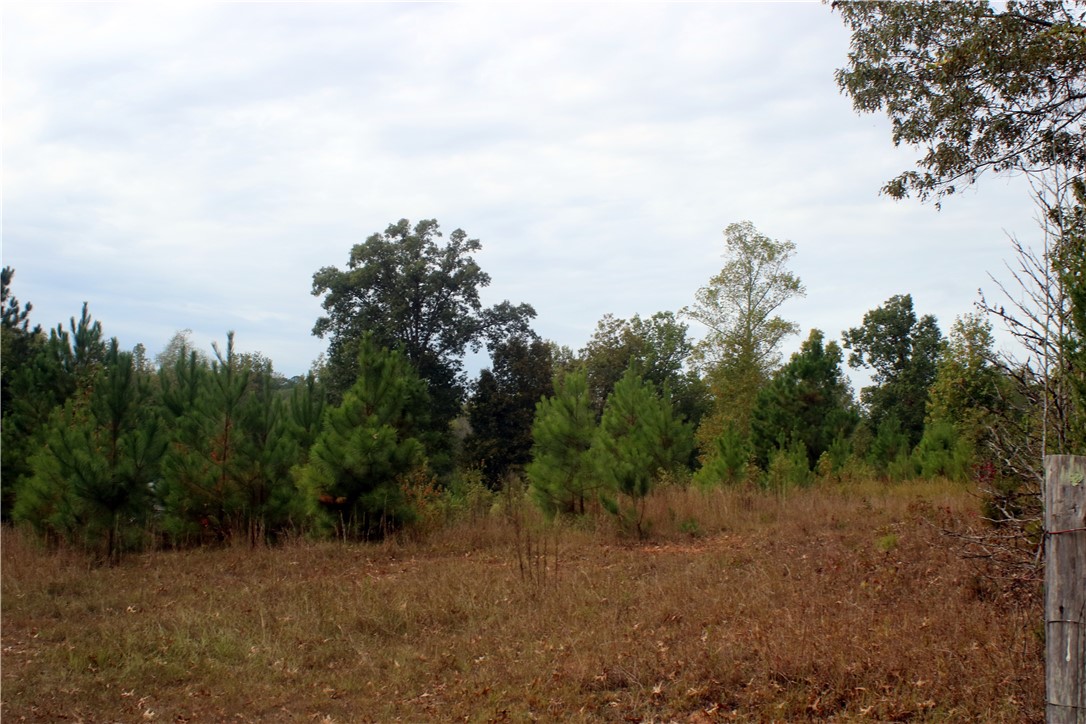 0 First Creek Road Anderson, SC 29621 - Photo 5 of 19