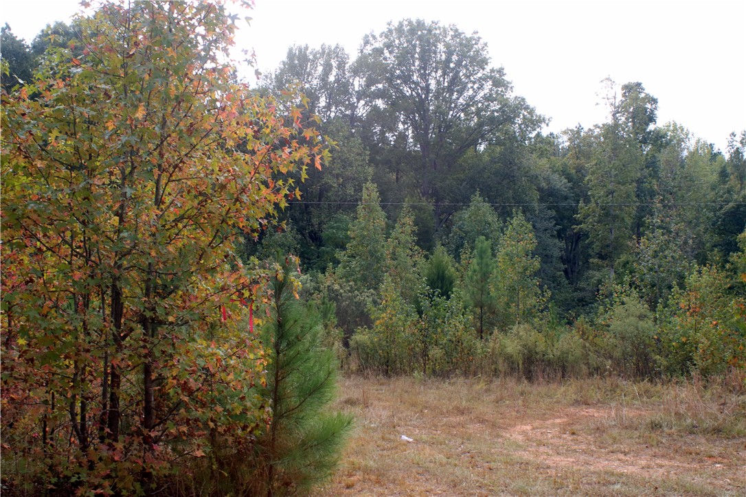 0 First Creek Road Anderson, SC 29621 - Photo 6 of 19