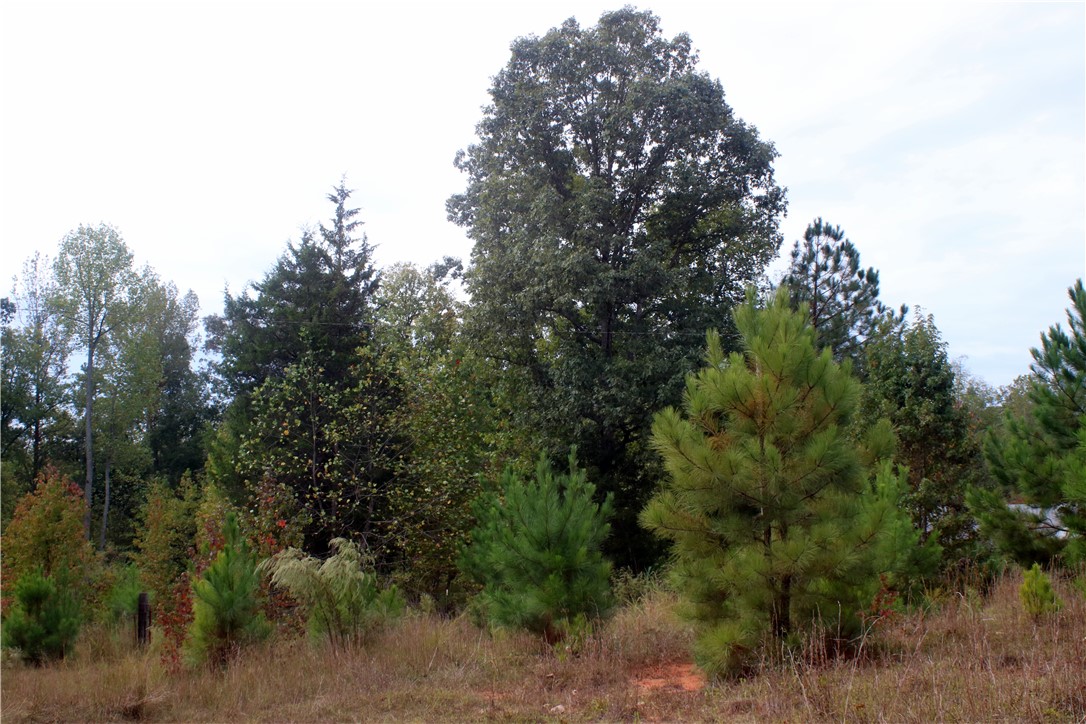 0 First Creek Road Anderson, SC 29621 - Photo 7 of 19