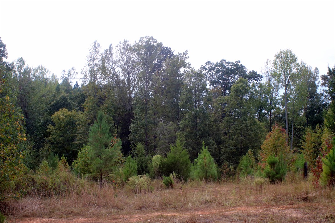 0 First Creek Road Anderson, SC 29621 - Photo 8 of 19