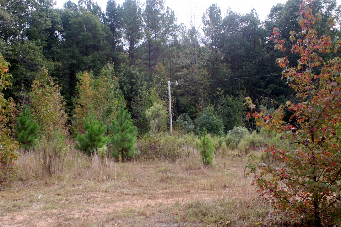 0 First Creek Road Anderson, SC 29621 - Photo 10 of 19
