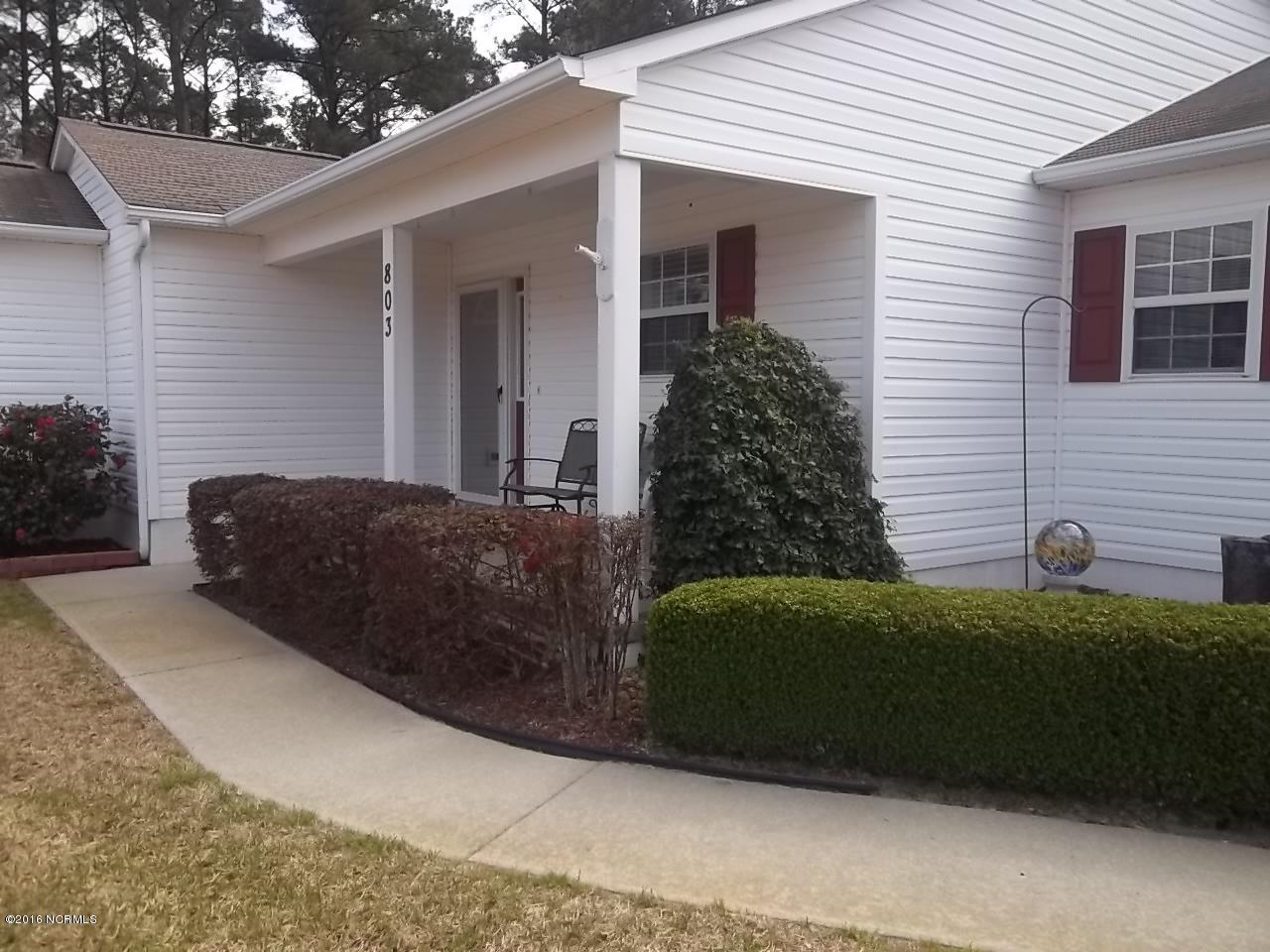 803 Roberts Road Newport, NC 28570 - Photo 5 of 18 Front Walkway
