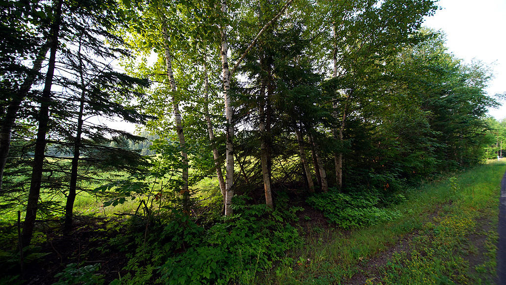 Lot 9-1 New Limerick Road Houlton, ME 04730 - Photo 19 of 40 leisner-maine-land-4