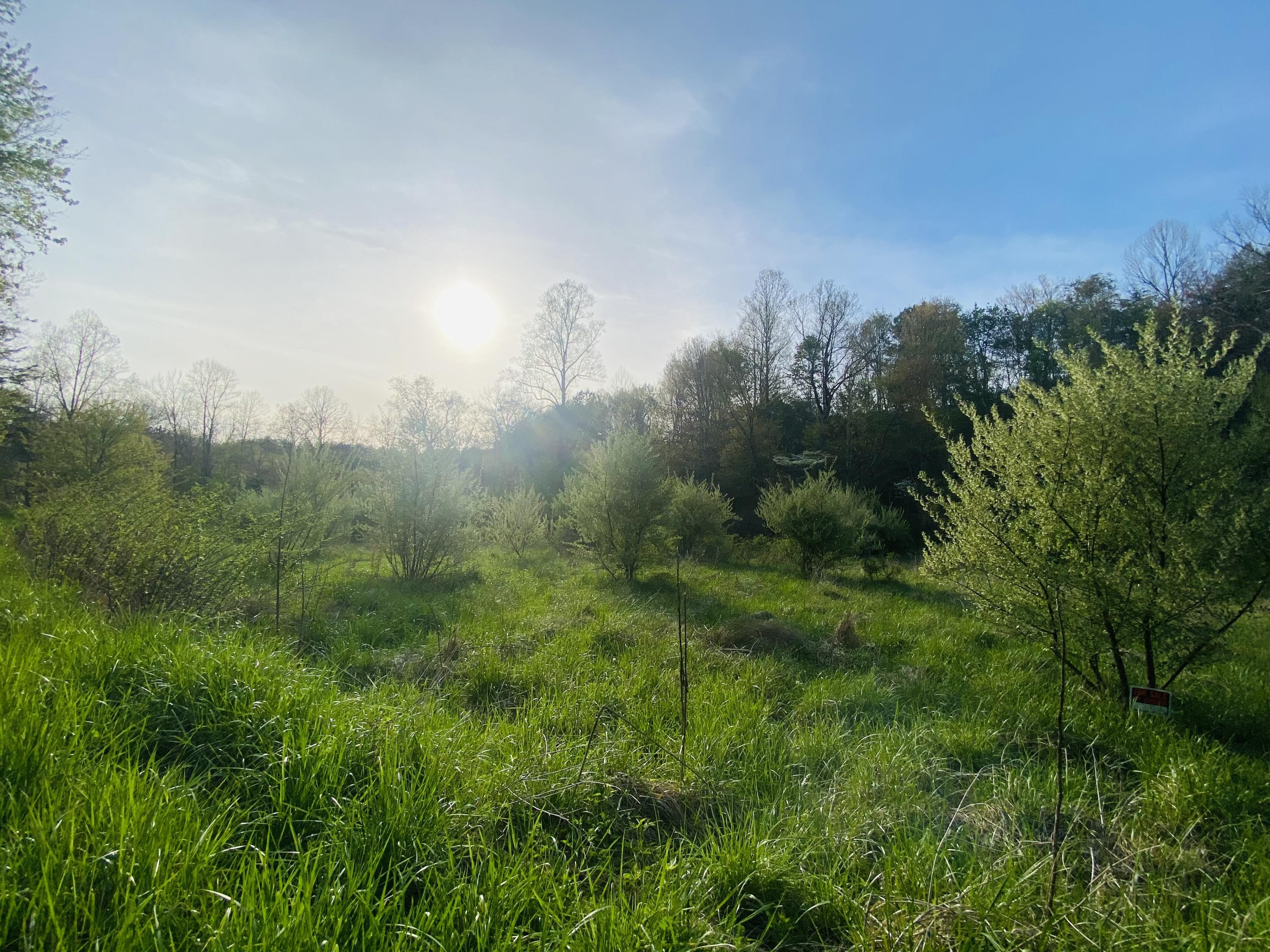 175 Sandlin Cemetery Road Manchester, KY 40962 - Photo 20 of 37 5451D093-DCED-455F-864D-7A42EC0FBBB0