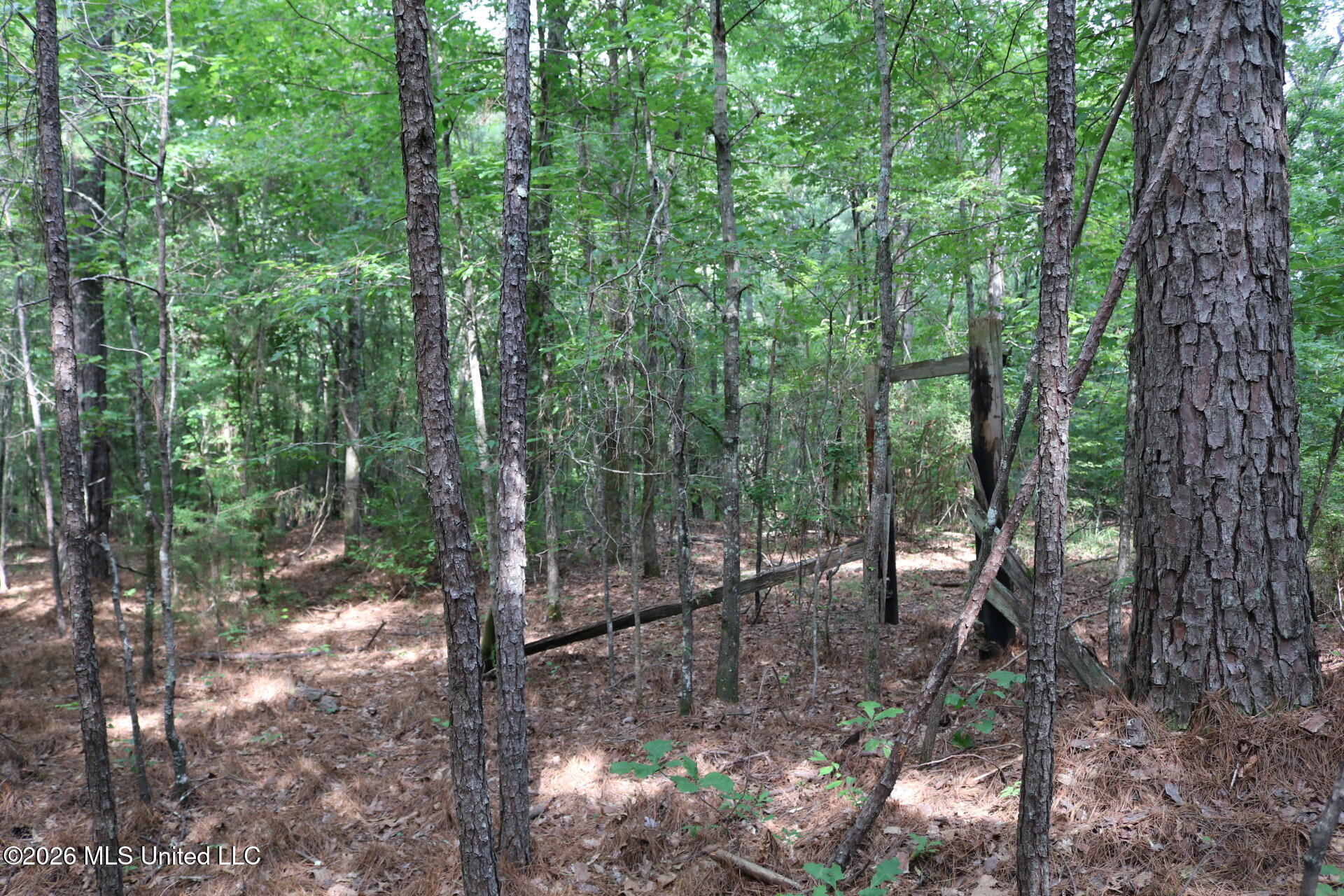 2026 Stump Bridge Road Camden, MS 39045 - Photo 4 of 18 IMG_5677
