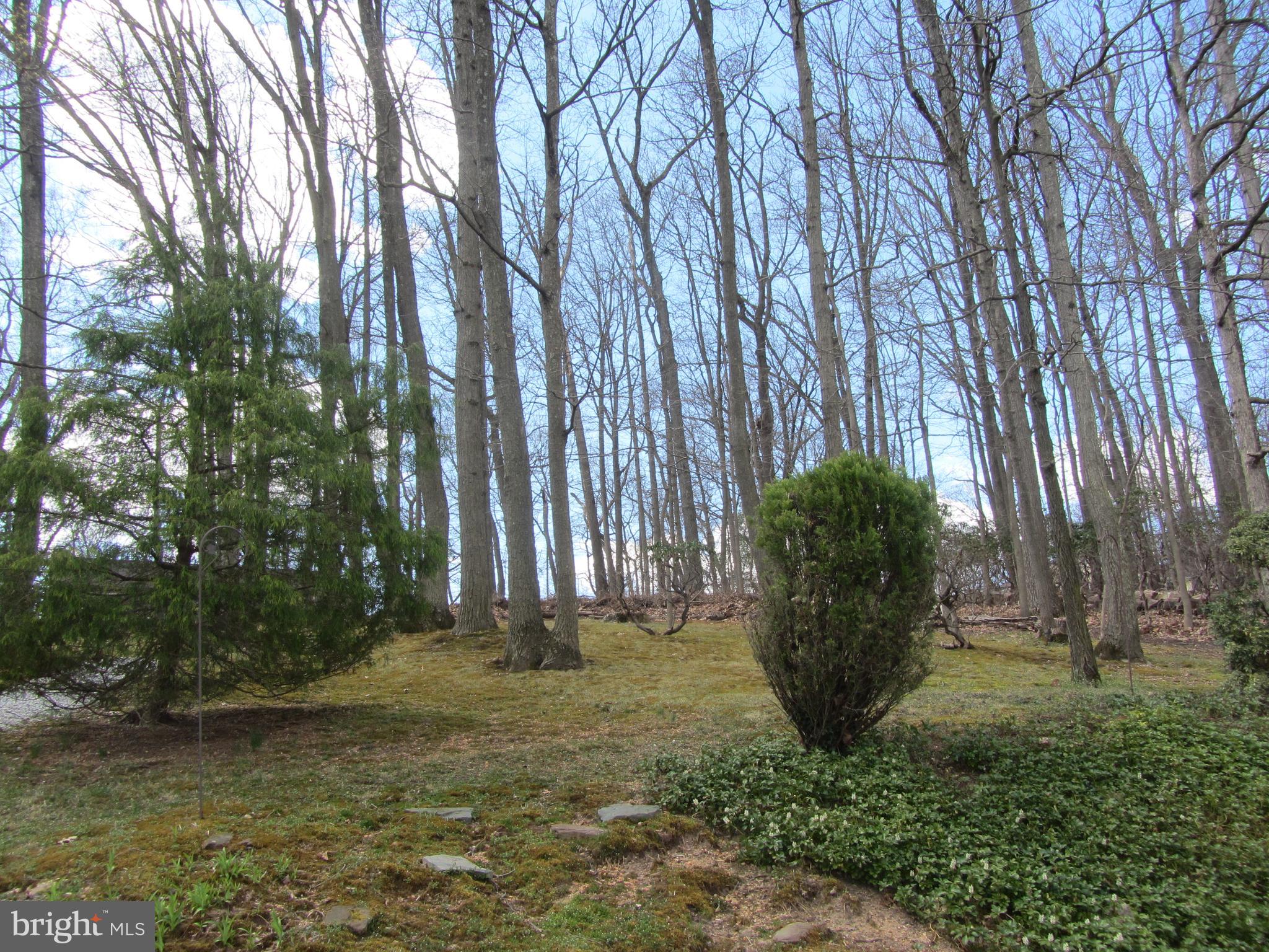 2817 Northwind Road Baltimore, MD 21234 - Photo 34 of 39 Gallery Image 34