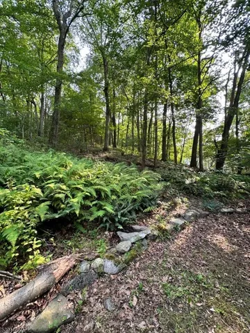 a big yard with lots of green space and deers