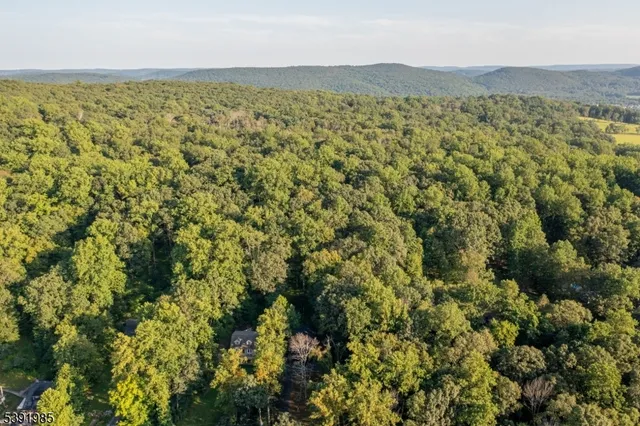 a view of lake and mountain