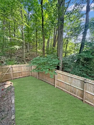 a view of a backyard with large trees