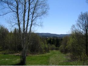 154 Ober Hill Road Johnson, VT 05656 - Photo 2 of 6