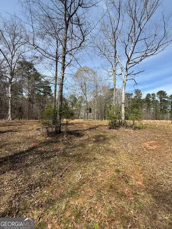 $538,632 | 0 Sugar Creek Trail, Buckhead, GA 30625