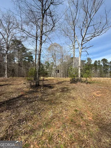 a view of road with large trees