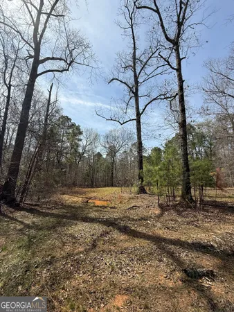 a view of dirt yard with a large tree