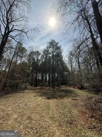 a view of outdoor space with trees