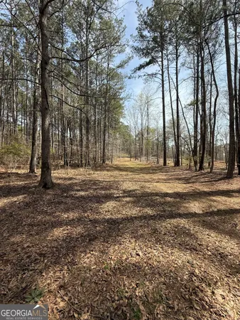 a big yard with trees