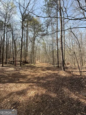 a view of outdoor space with yard