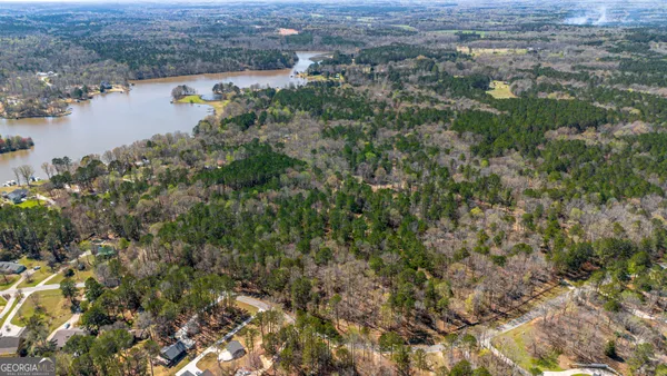 an aerial view of residential houses with outdoor space and trees