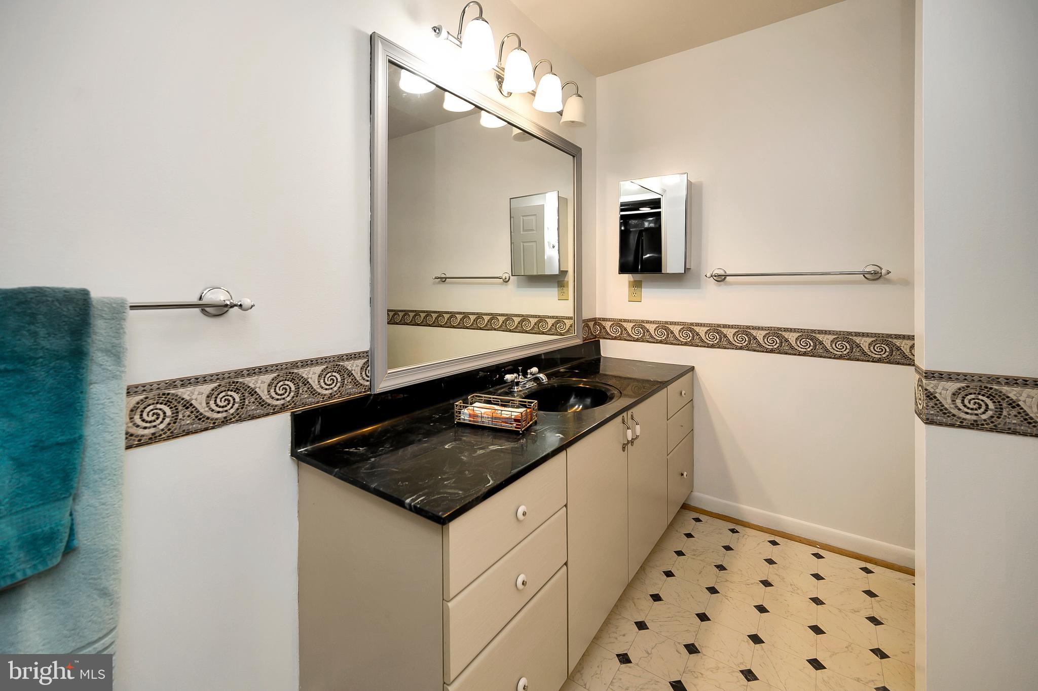 621 Harrison Circle Locust Grove, VA 22508 - Photo 22 of 34 Master bath view 2