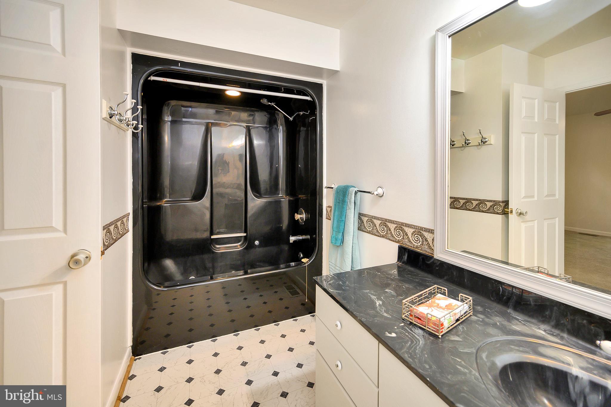 621 Harrison Circle Locust Grove, VA 22508 - Photo 23 of 34 Dramatic & Bold retro master bath