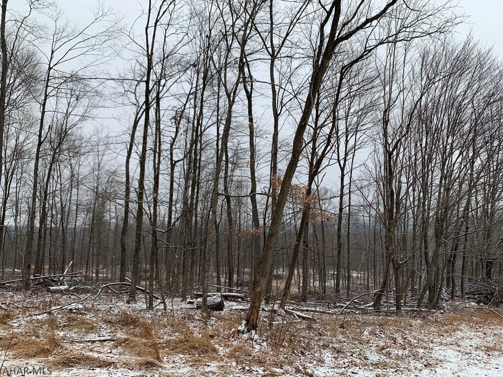 Off Off Road Artemas, PA 17211 - Photo 2 of 5