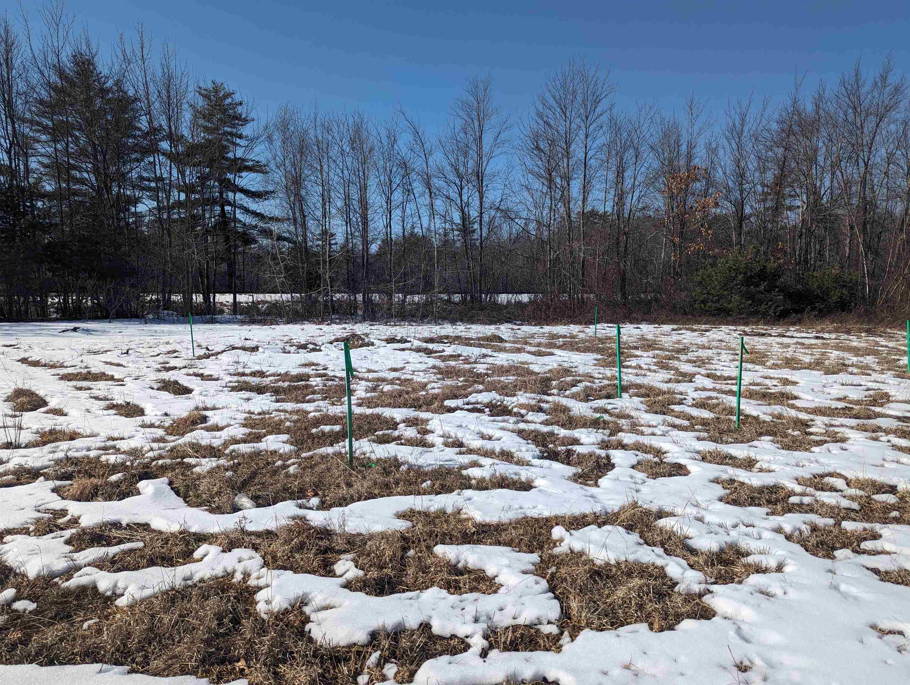 Lot 59-2 Norway Plains Road Rochester, NH 03868 - Photo 3 of 4