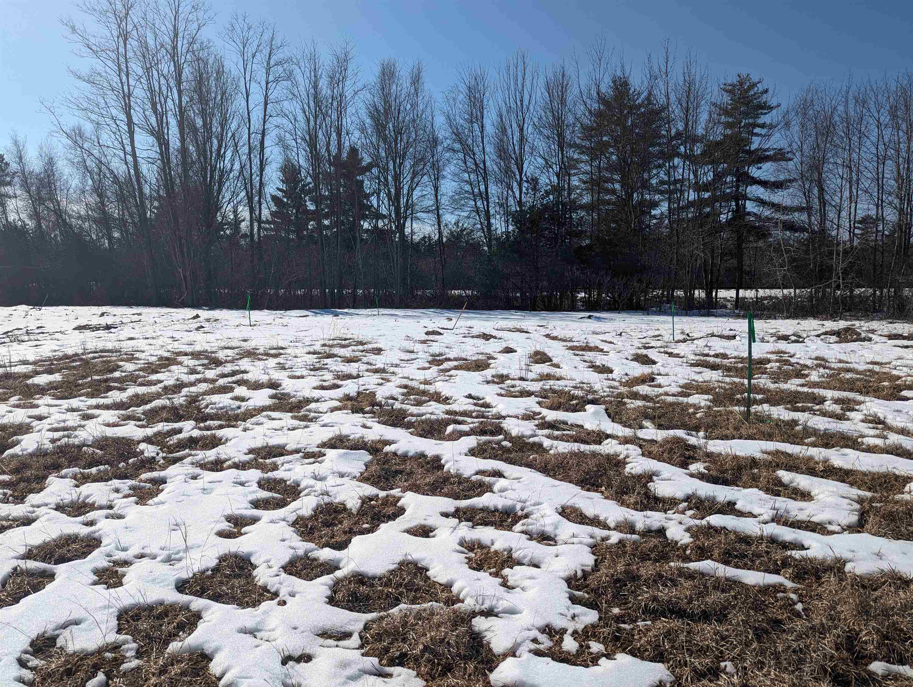 Lot 59-2 Norway Plains Road Rochester, NH 03868 - Photo 4 of 4