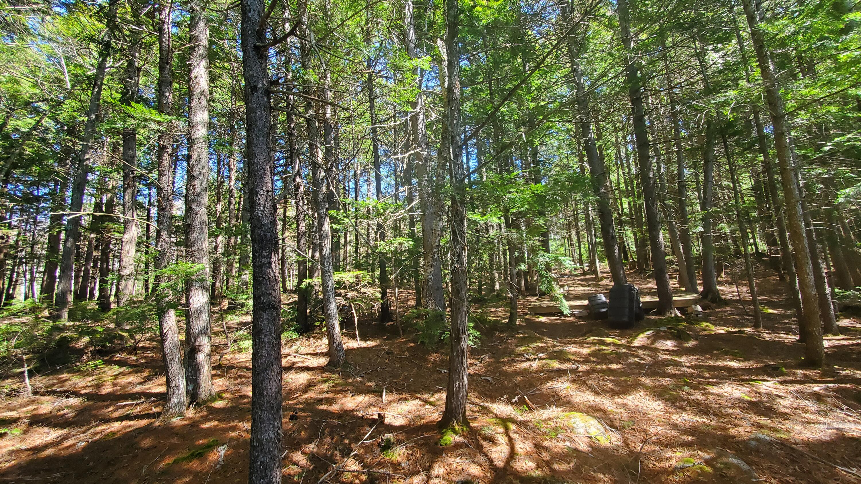 307 Lakeville Shores Road Lakeville, ME 04487 - Photo 17 of 39 20250430_113644