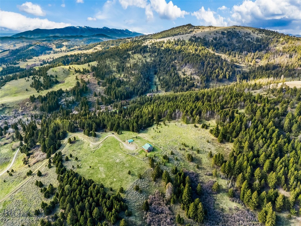 755 Coffee Creek Road Bozeman, MT 59715 - Photo 86 of 92 Gallery Image 86