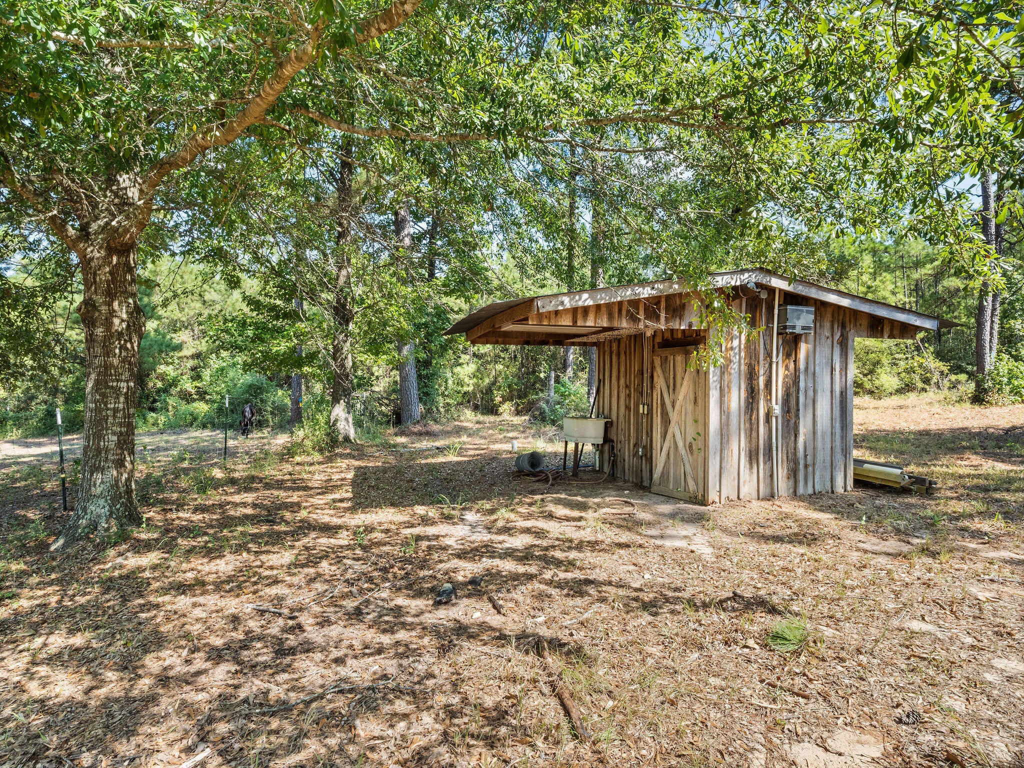 432 Westbrooks Road Hornbeck, LA 71439 - Photo 25 of 31 Gallery Image 25