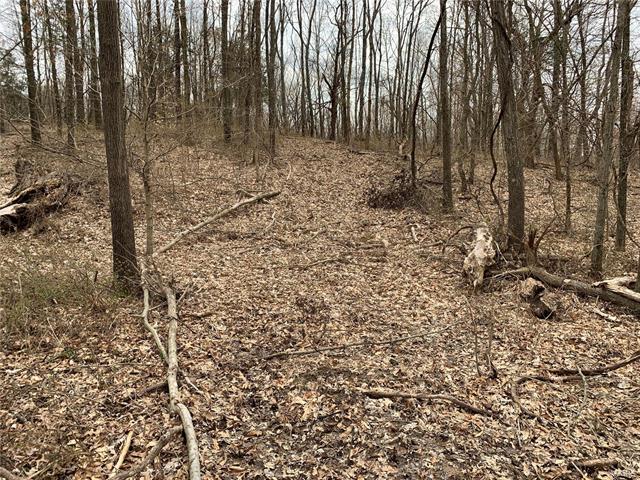 600 Meador Road Iuka, IL 62849 - Photo 8 of 16