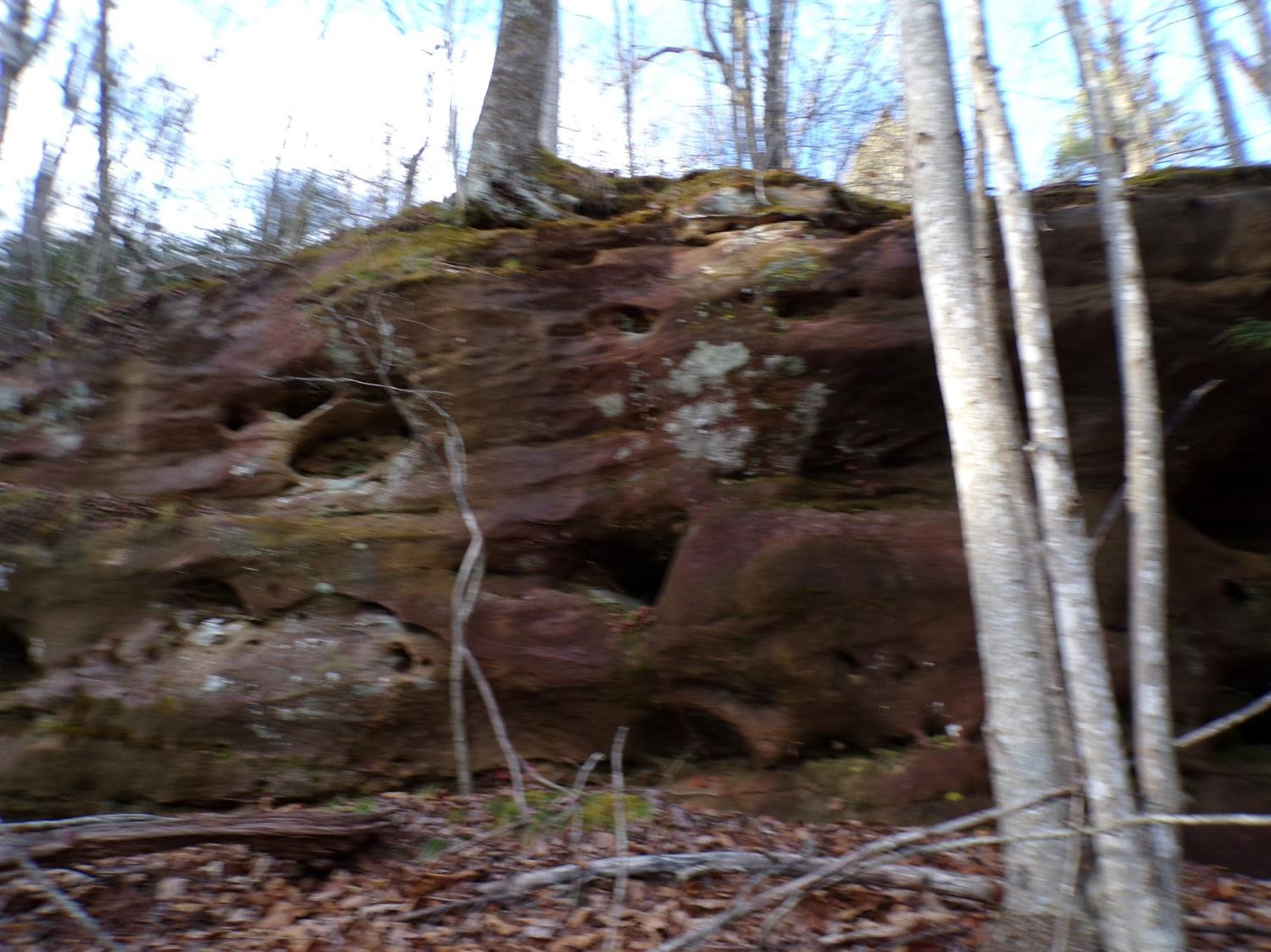 4200 Forest Service Road London, KY 40744 - Photo 34 of 44 Photo 34