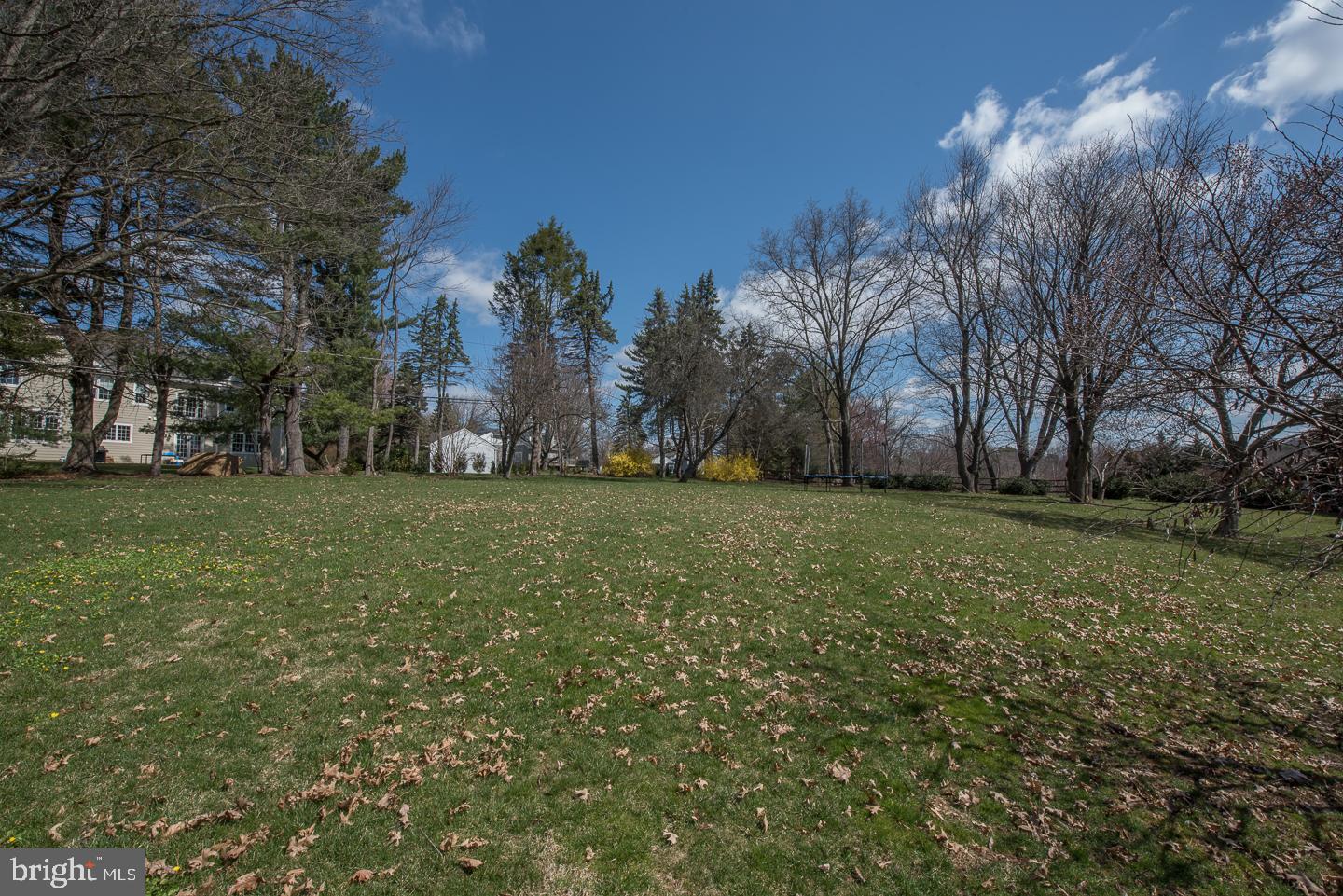 442 Boxwood Road Bryn Mawr, PA 19010 - Photo 43 of 43 Back Yard