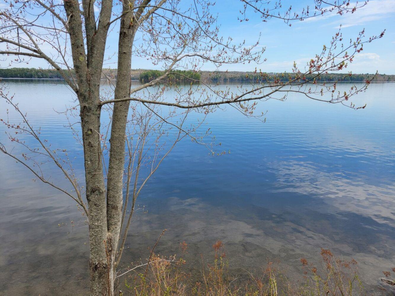 37 Williams Road Vassalboro, ME 04989 - Photo 137 of 164 Airbnb_Download_53810987_25_result