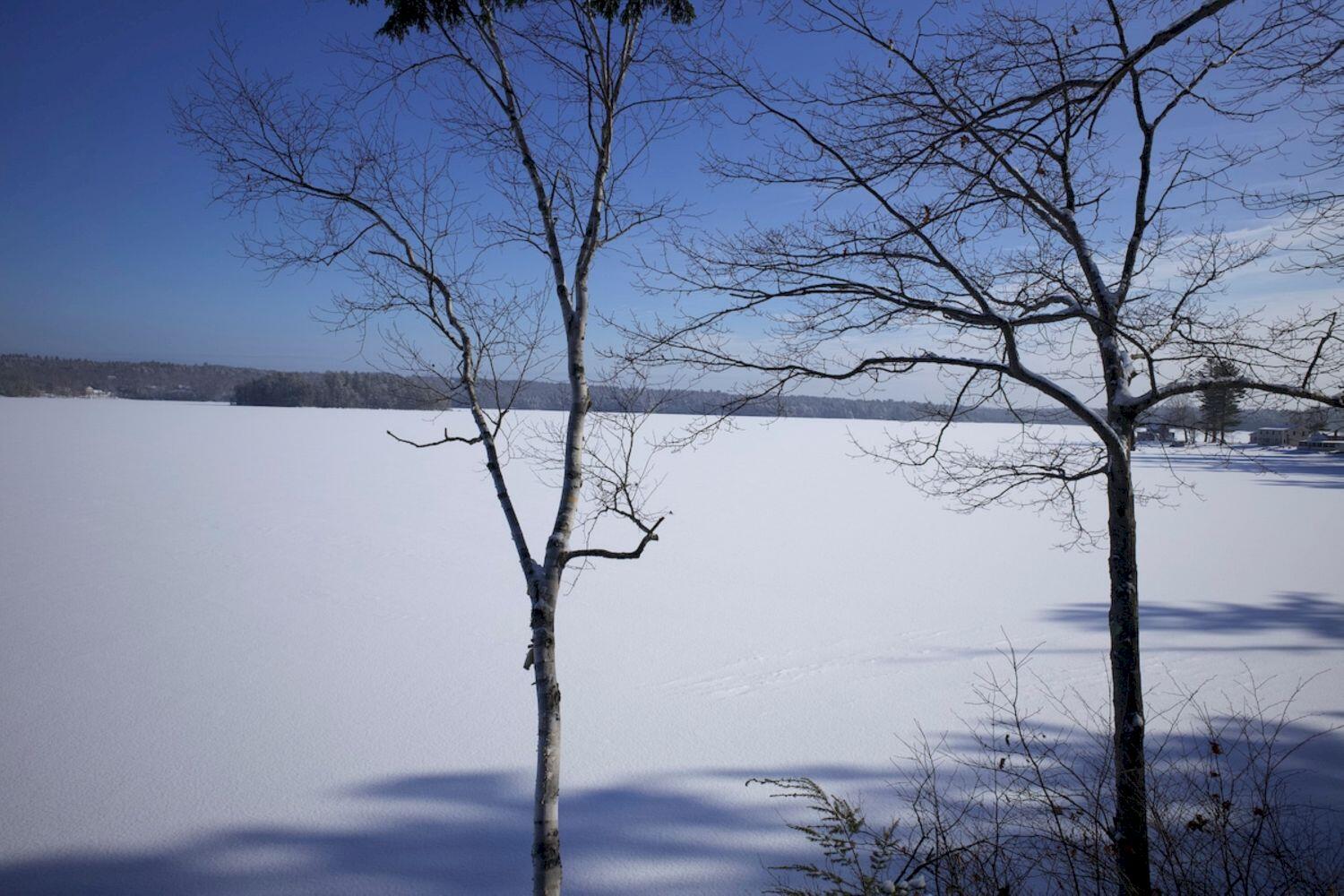 37 Williams Road Vassalboro, ME 04989 - Photo 57 of 164 Airbnb_Download_53809796_5_result