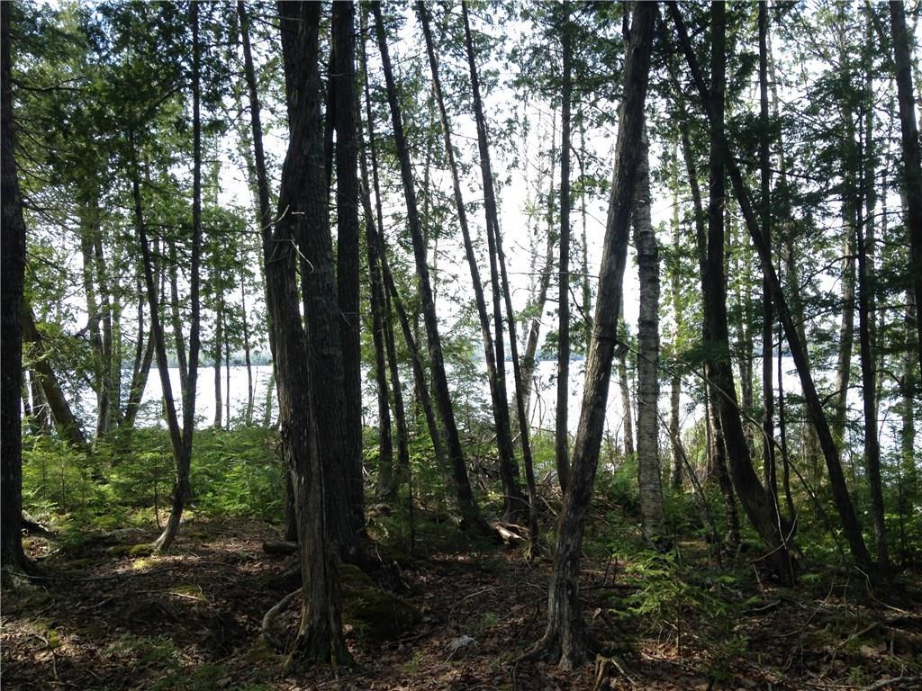 700 Madagascal Pond Road Burlington, ME 04417 - Photo 10 of 33 Land
