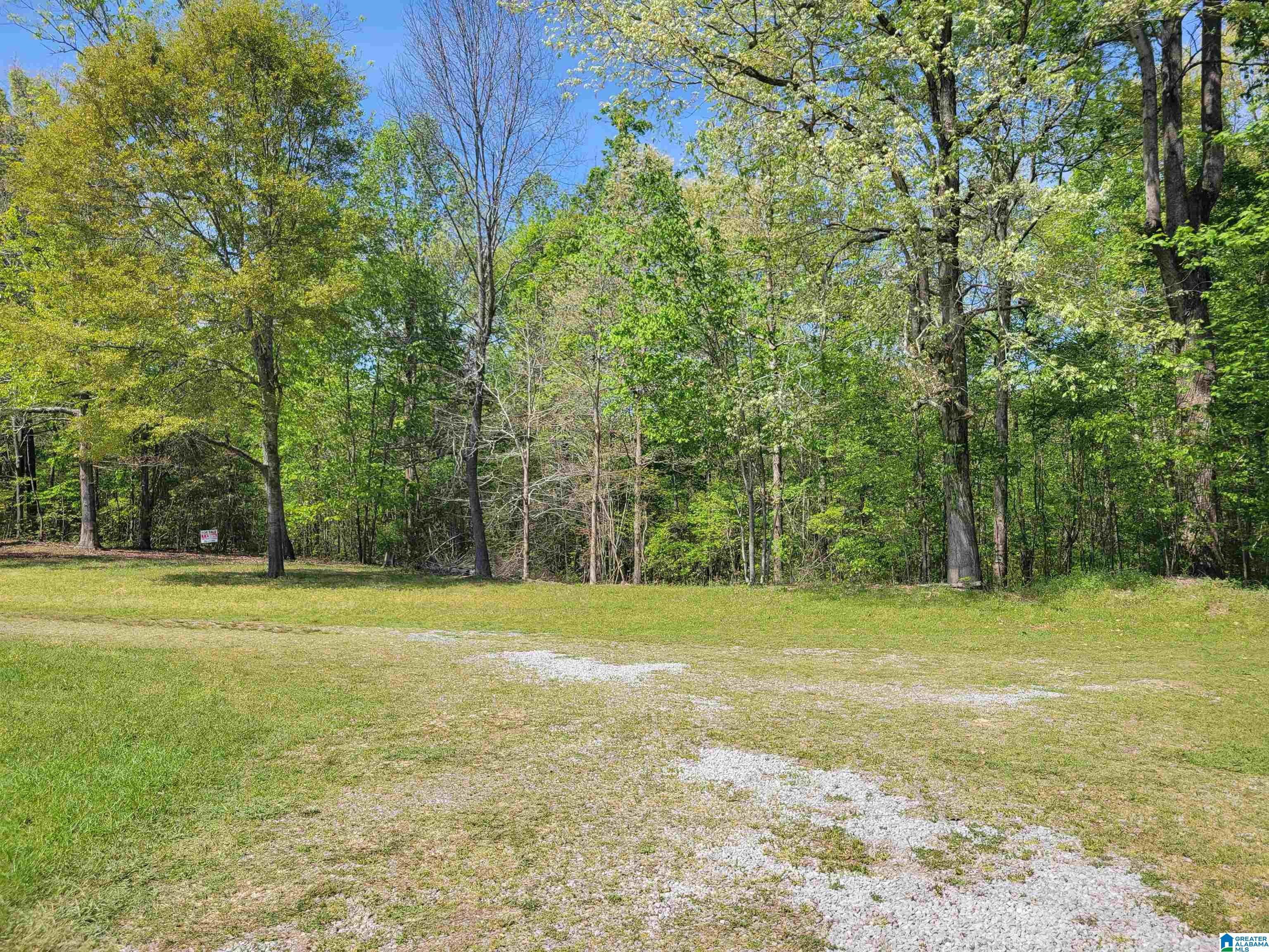 9050 County Road 222 Logan, AL 35098 - Photo 26 of 31