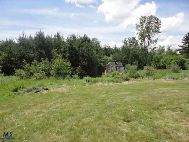 10813 Oatman Road Yale, MI 48097 - Photo 8 of 21 31106594-7.JPG