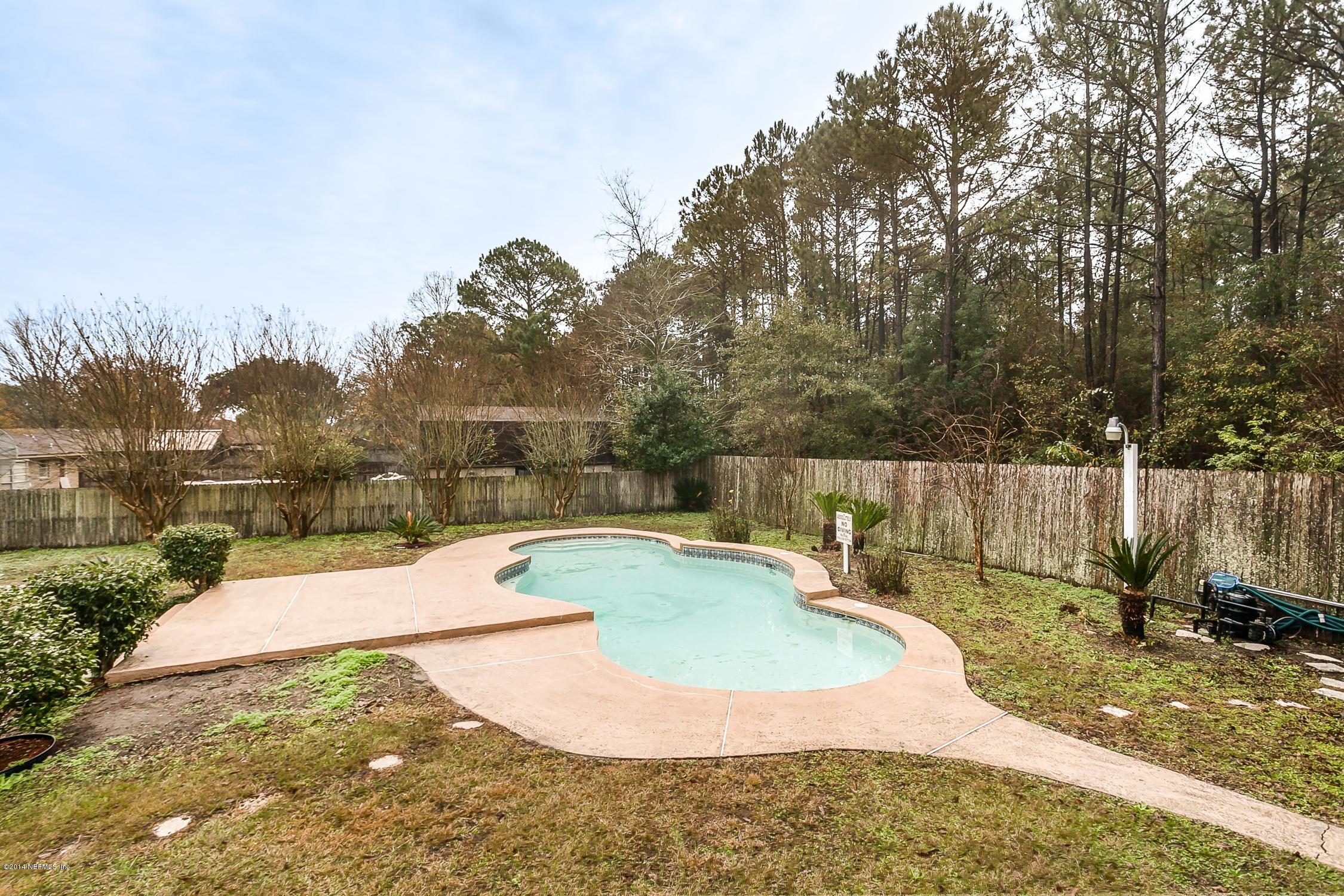8258 Blazing Star Road Jacksonville, FL 32210 - Photo 25 of 27 Back_Yard_and_Pool