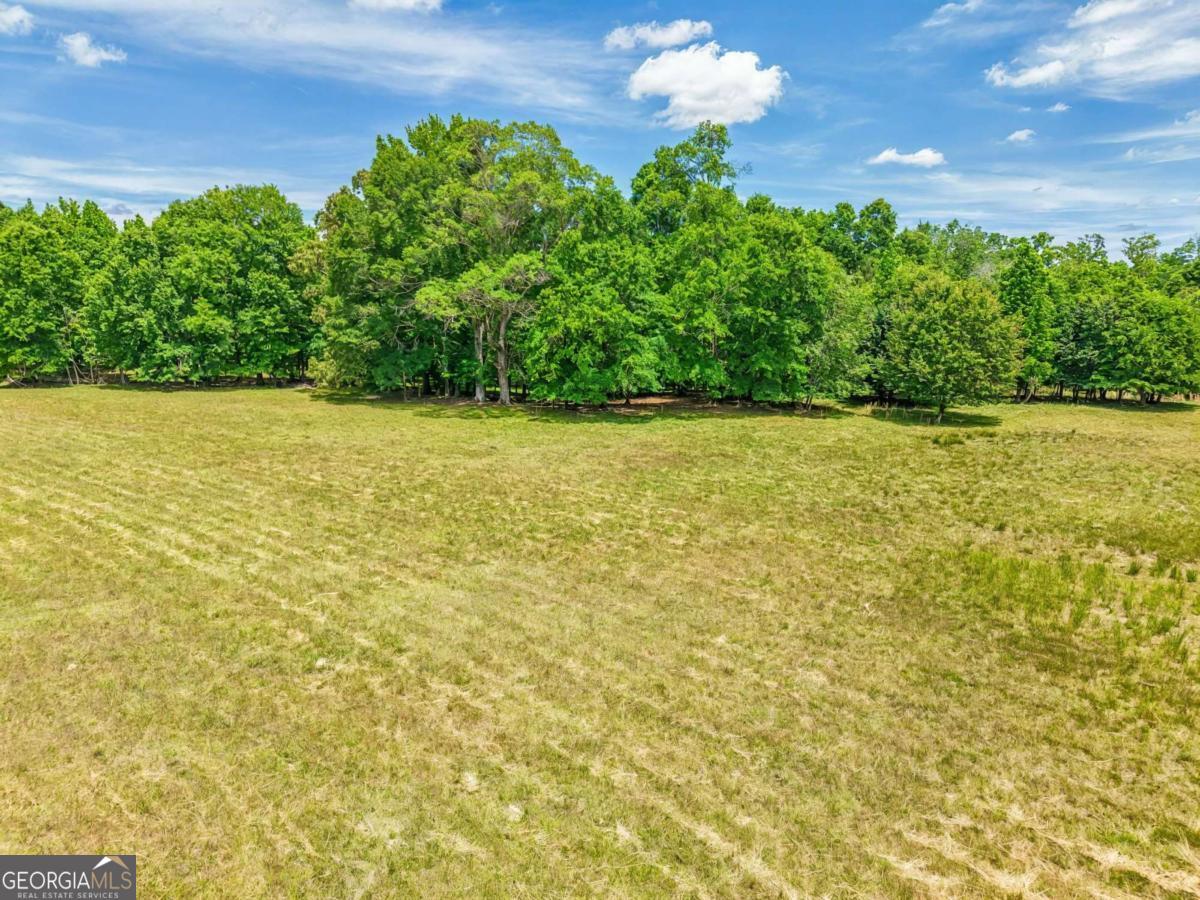 Tract 2 Mcnutt Creek Road Bogart, GA 30622 - Photo 3 of 6