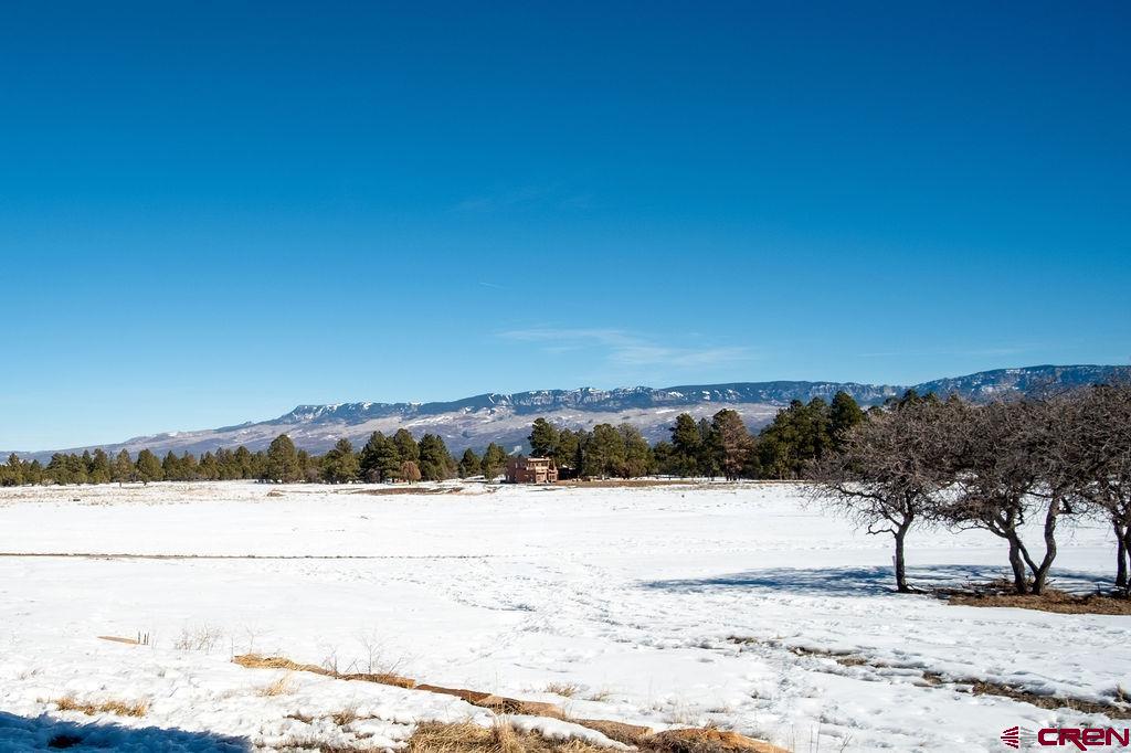 524 South Badger Trail Ridgway, CO 81432 - Photo 20 of 41