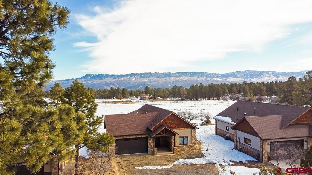 524 South Badger Trail Ridgway, CO 81432 - Photo 31 of 41