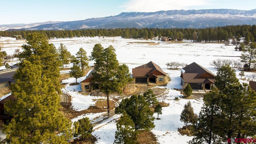 524 South Badger Trail Ridgway, CO 81432 - Photo 32 of 41